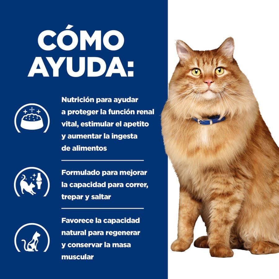 12 sobres x 85 g Hill's Prescription Diet k/d + Mobility j/d Pollo sobre para gatos, , large indicador imagen numero 4